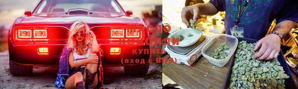 гашик Алзамай