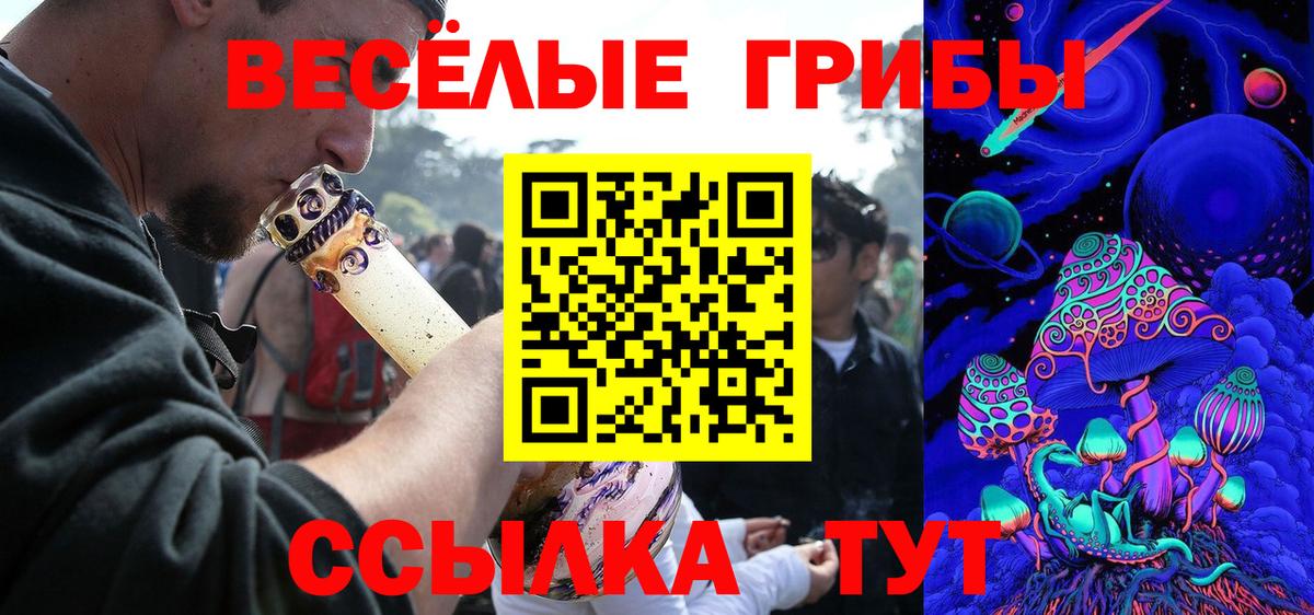 Псилоцибиновые грибы мицелий  Вход с VPN  Тулун 